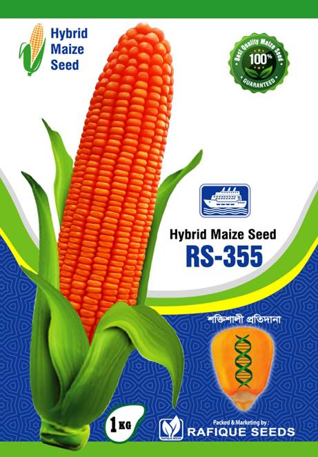 maize-rs-355